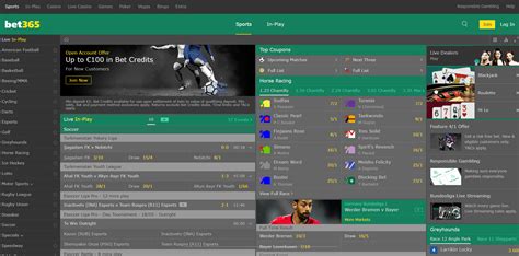 bet 365 sport